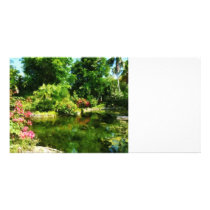 Tropical Garden by Lake Picture Card