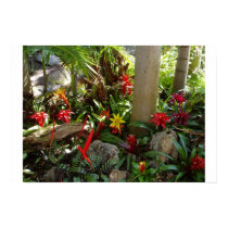 Tropical Garden posters by jgillick Tropical Garden posters