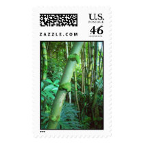 Tropical Green Bamboo, Honolulu, Hawaii postage