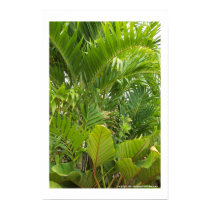 Tropical Green posters by rainman007 Tropical Green posters