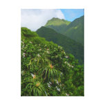 Tropical Hawaii Stretched Canvas Print