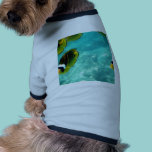 Tropical Hawaiian Fish pet clothing