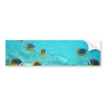 Tropical Hawaiian Underwater Fish Bumper Stickers