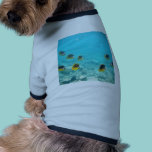 Tropical Hawaiian Underwater Fish pet clothing