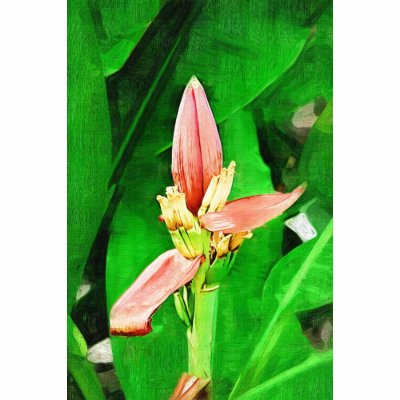 Tropical Heliconia flower Polo by palmimages