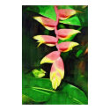 Tropical Heliconia - Lobster Claw  posters