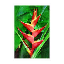 Tropical heliconia oil painting collection posters