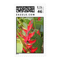 Tropical Heliconia postage