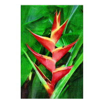 Tropical Heliconia - Walk in the Garden posters