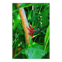 Tropical Heliconia - Walk in the garden posters