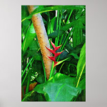 Tropical Heliconia - Walk in the garden Posters