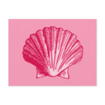 Tropical Hibiscus Blush Pink Sea Shell Post Card