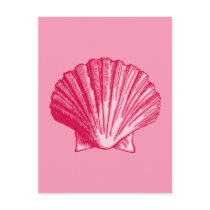 Tropical Hibiscus Blush Pink Sea Shell Post Card