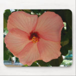 Tropical Hibiscus mousepads