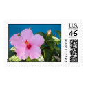 Tropical Hibiscus Postage Stamp