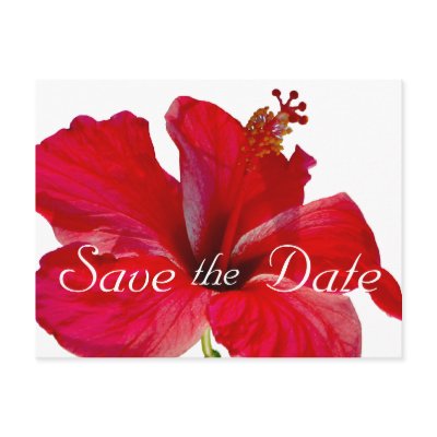 Tropical Hibiscus Wedding Save the Date Postcard