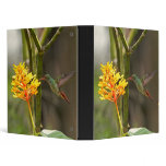 Tropical Hummingbird and Flower Vinyl Binder