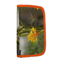 Tropical Hummingbird and Flower Folio Planner