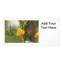 Tropical Hummingbird and Flower Photo Card Template