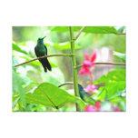 Tropical Hummingbird and Flowers Gallery Wrapped Canvas