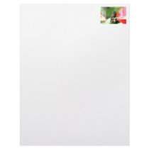 Tropical Hummingbird at Feeder Personalized Letterhead