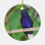 Tropical Hummingbird Christmas Tree Ornaments