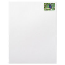 Tropical Hummingbird Customized Letterhead