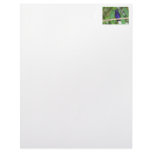 Tropical Hummingbird Customized Letterhead