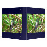 Tropical Hummingbird Picture Binder