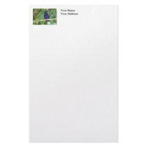 Tropical Hummingbird Stationery Design