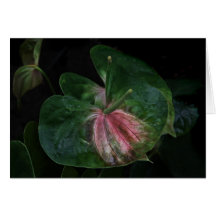 Tropical Leaf Card