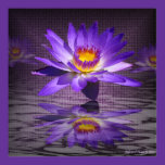 Tropical Lily Reflections Poster posters