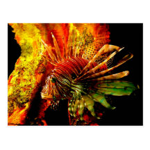 Tropical Lionfish Photo Art Post Card