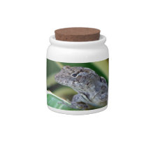 Tropical Lizard - Florida Candy Jars