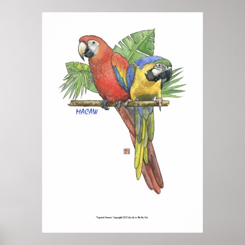 Tropical Macaws print