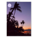 Tropical Moon cards by joeyartist Tropical Moon cards