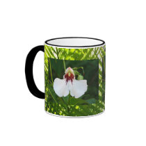 Tropical mugs by ggbythebay Tropical mugs