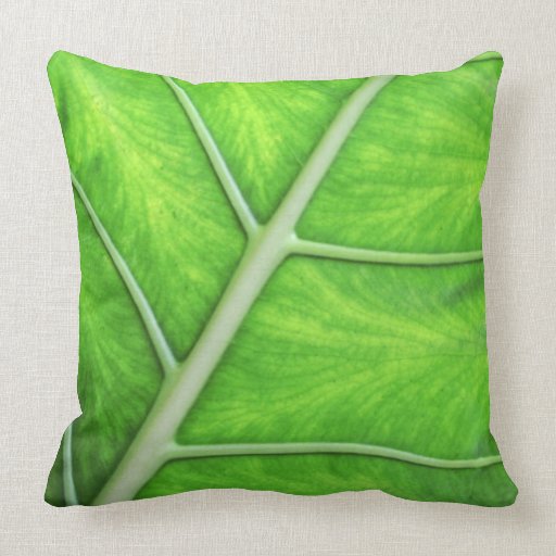 Tropical Nature Green Leaf Photography Cushion Throw Pillows
