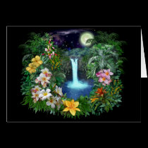Tropical Nights cards