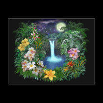 Tropical Nights postcards