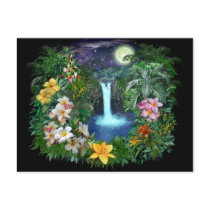 Tropical Nights Post Cards
