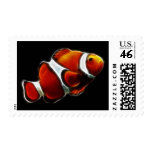 Tropical Orange Clownfish Clown Fish Postage