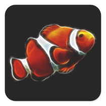 Tropical Orange Clownfish Clown Fish Stickers