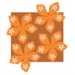 Tropical orange flowers on white. photo cut outs
