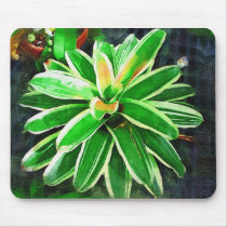 tropical orchid, florida landscape mousepads by palmimages tropical orchid, florida landscape mousepads