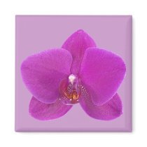 Tropical Orchid Flower magnets