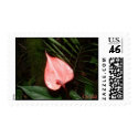 Tropical Orchid postage by write2chinu Tropical Orchid postage