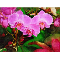 Tropical orchid - Walk in the Garden photo sculptures