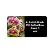 Tropical Orchids Custom Address Label