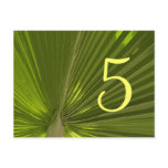 Tropical Palm Table Number Post Card
